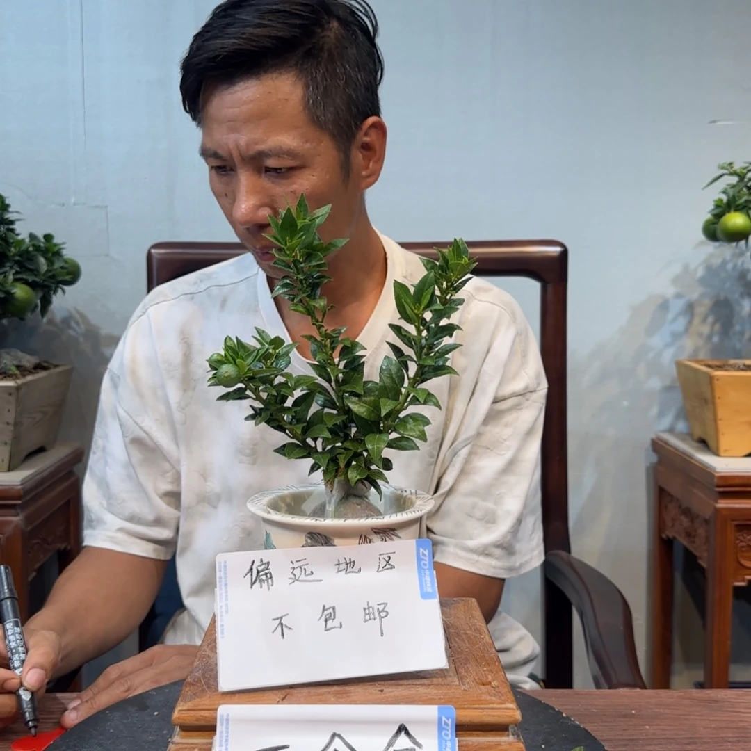 当前无花朵，栽培后可花朵T**g