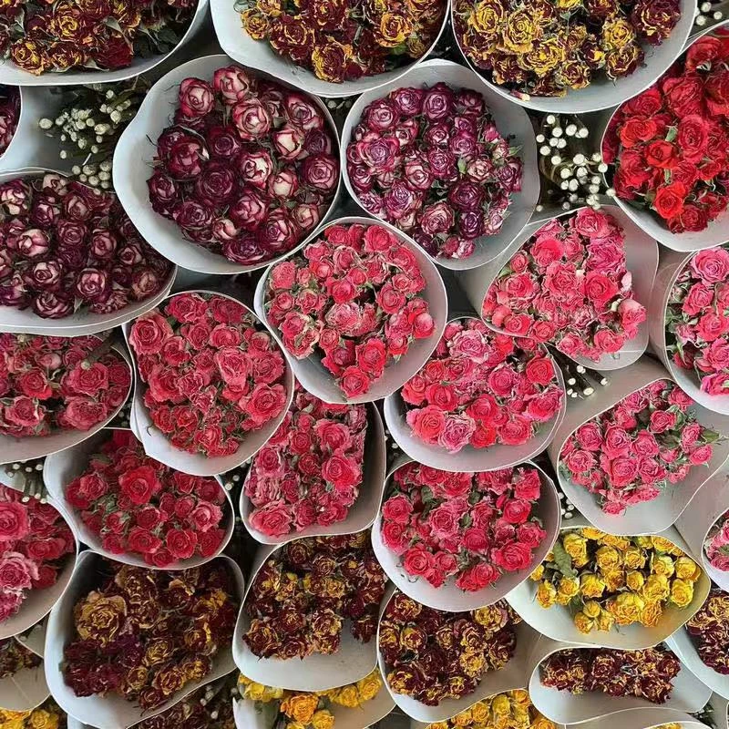 【直播】干花花束多头玫瑰泡泡迷你拍照道具装饰摆件花材复古天然