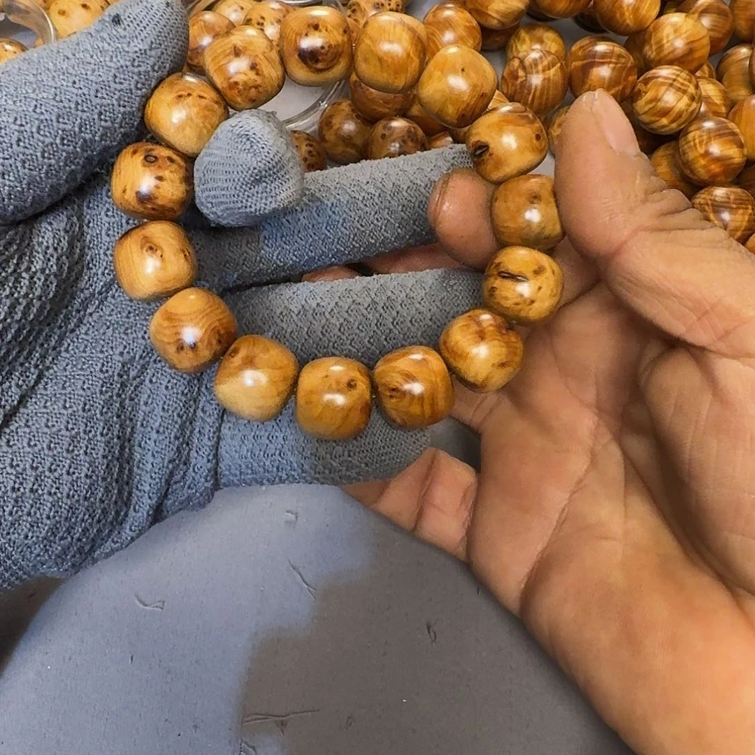 柏木（崖柏）16老新秀