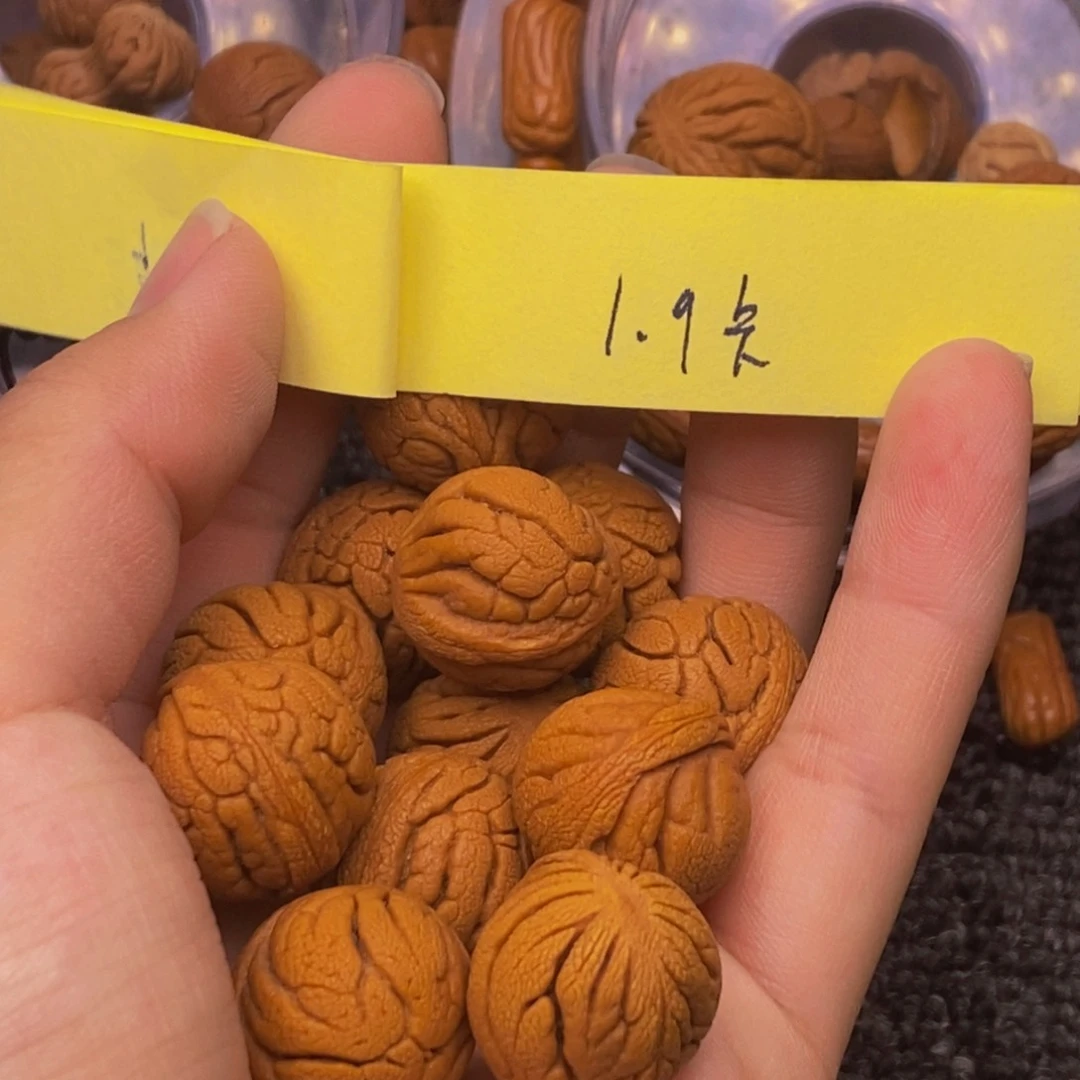 秦岭山脉龙纹桃核 14
