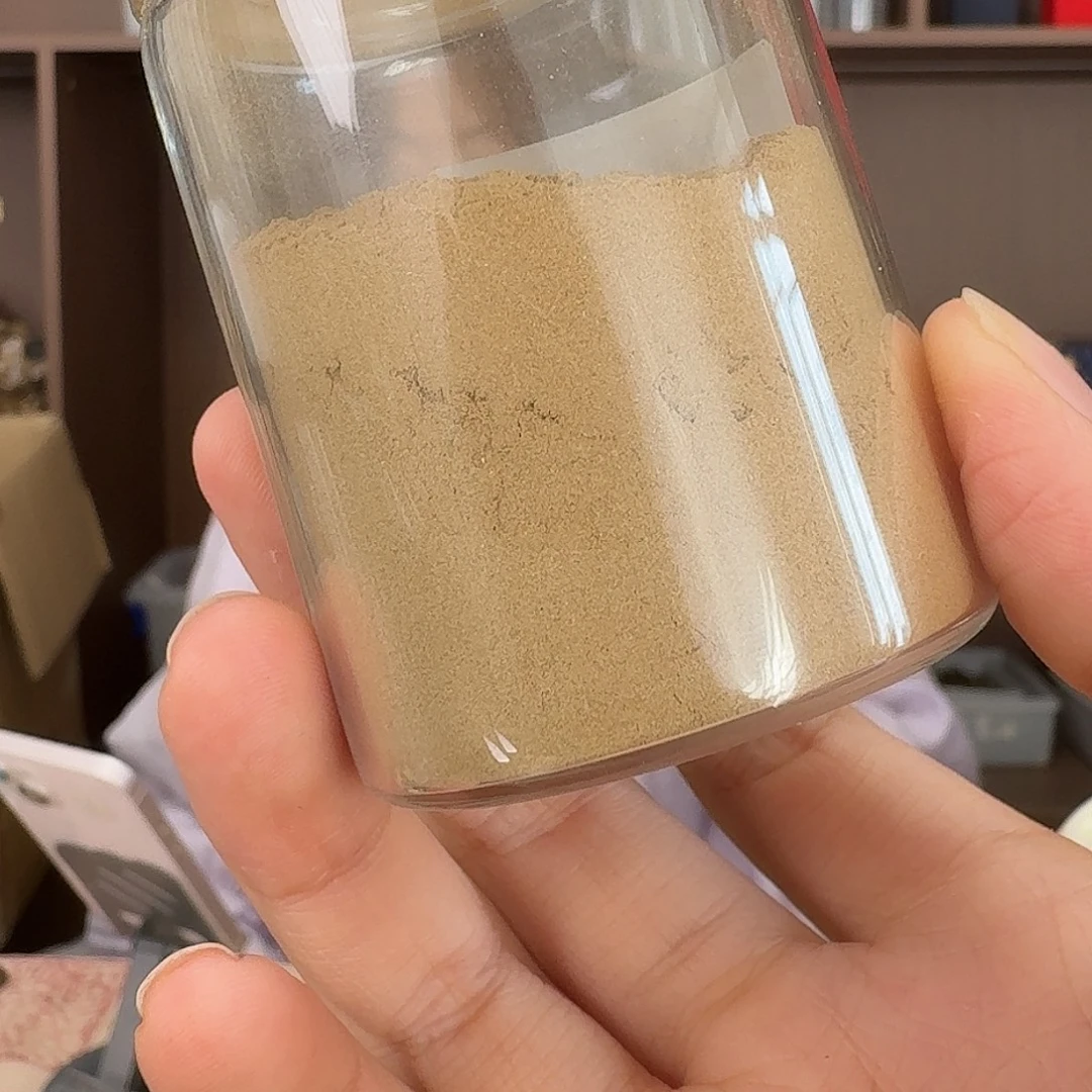 雪中春信粉多样性发30克