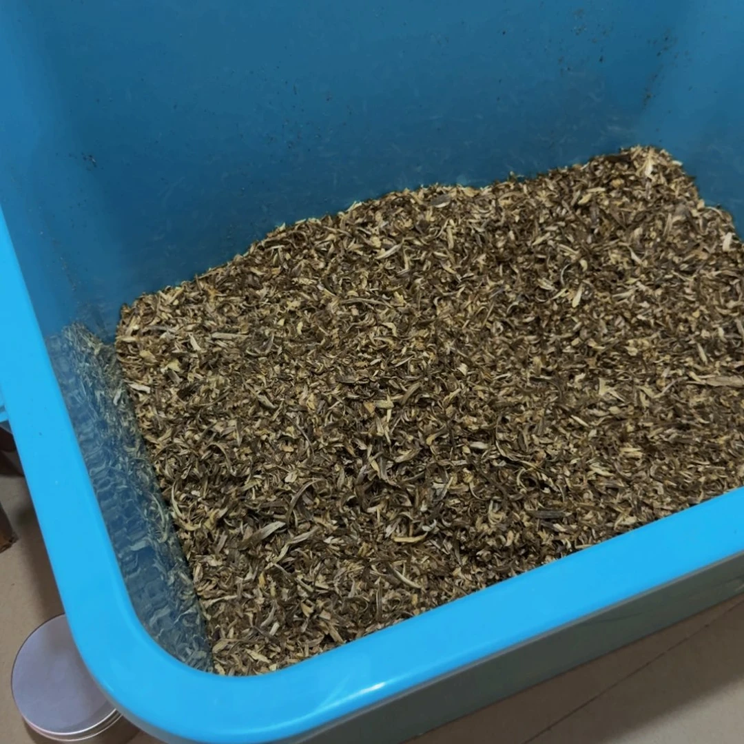钱****沉香碎屑沉香黑棋楠勾丝500g