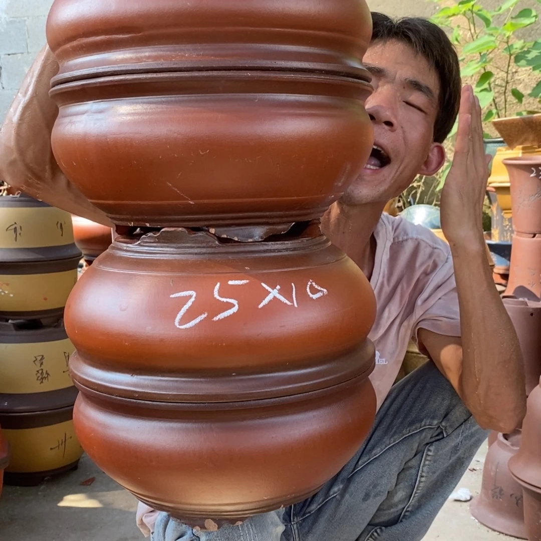 紫砂紫砂紫砂紫砂