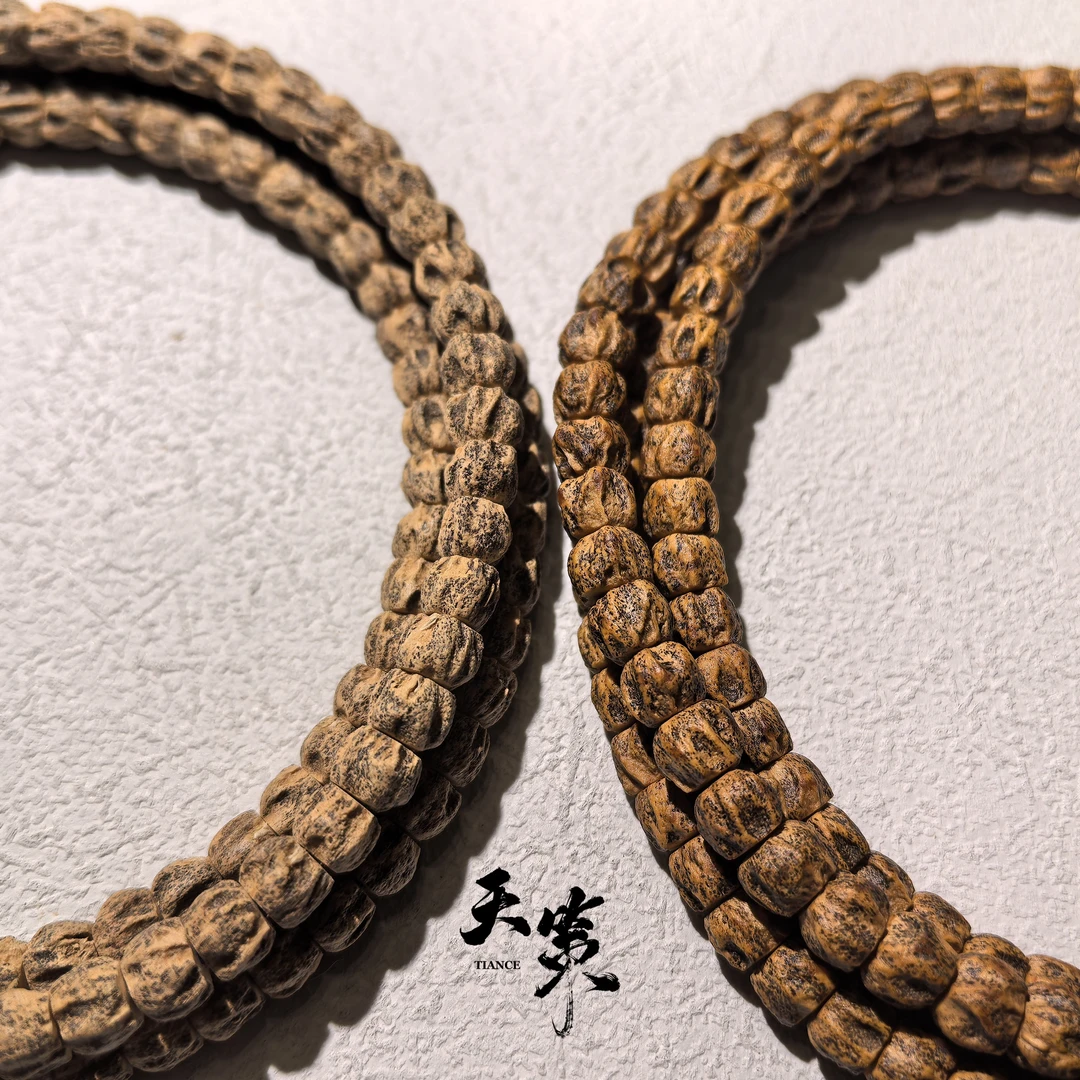 热振百香籽【天策出品】-- 多吉顺（脏）