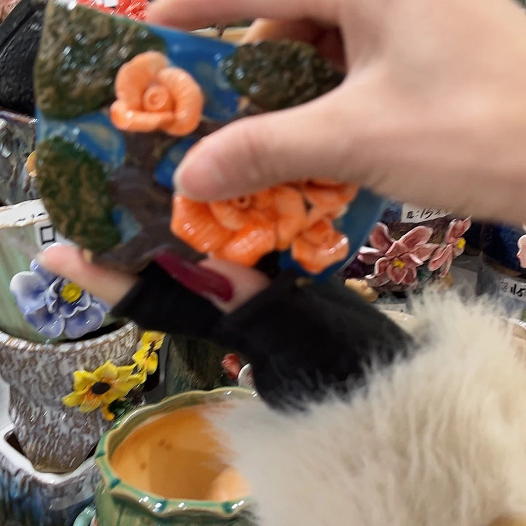 【闪购商品】红陶福利