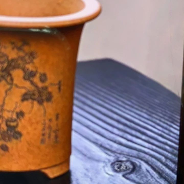 紫砂花盆晴***你福利来啦