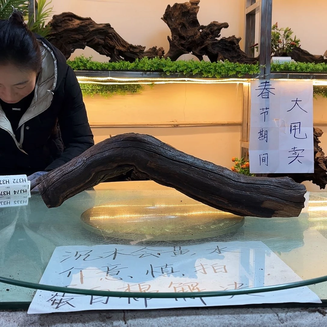 柚木沉木鱼缸造景