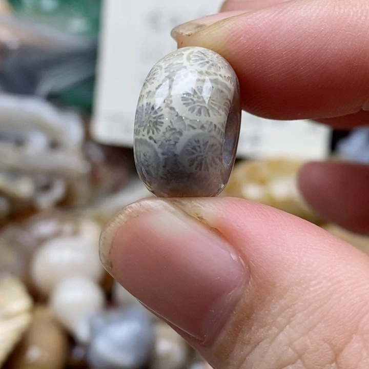 硅化珊瑚（珊瑚玉）未镶嵌颈饰独***醉