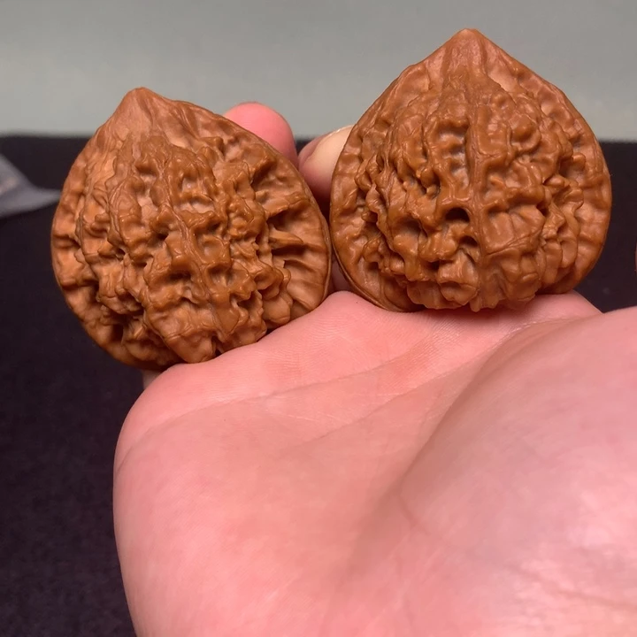 把件文玩核桃50肚35高48全品大官帽
