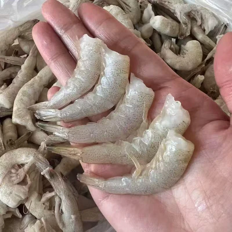 连云港顺丰直发 88新鲜去头羊毛虾无冰衣净重3斤