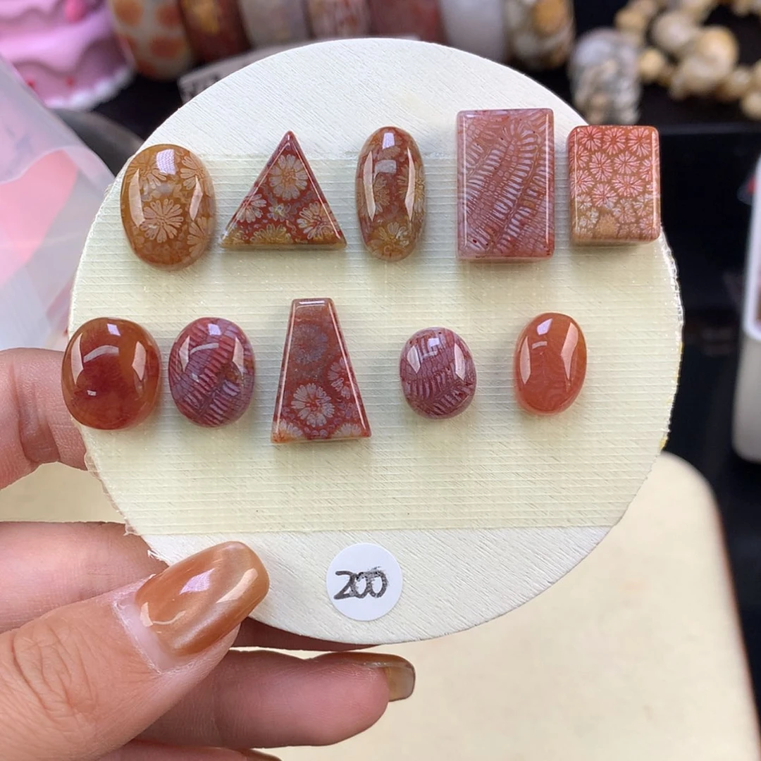 【闪购商品】颈饰未镶嵌硅化珊瑚（珊瑚玉）上新戒面可挑（15号）