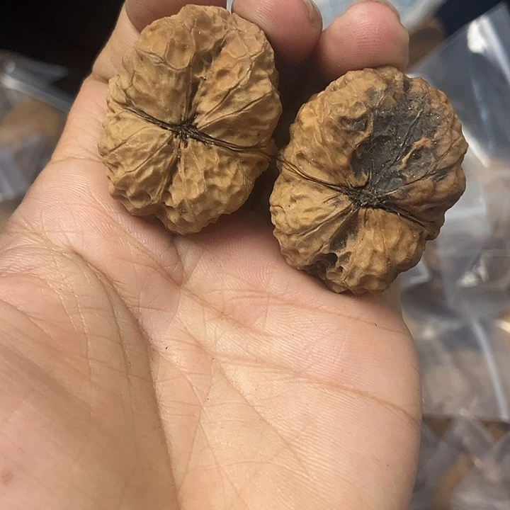 把件文玩核桃云南铁核桃基地60