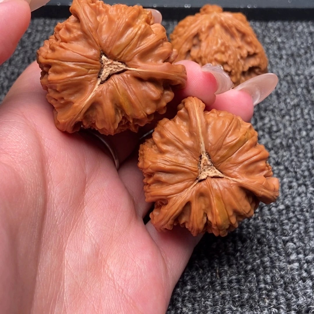 木质类白狮子正奔