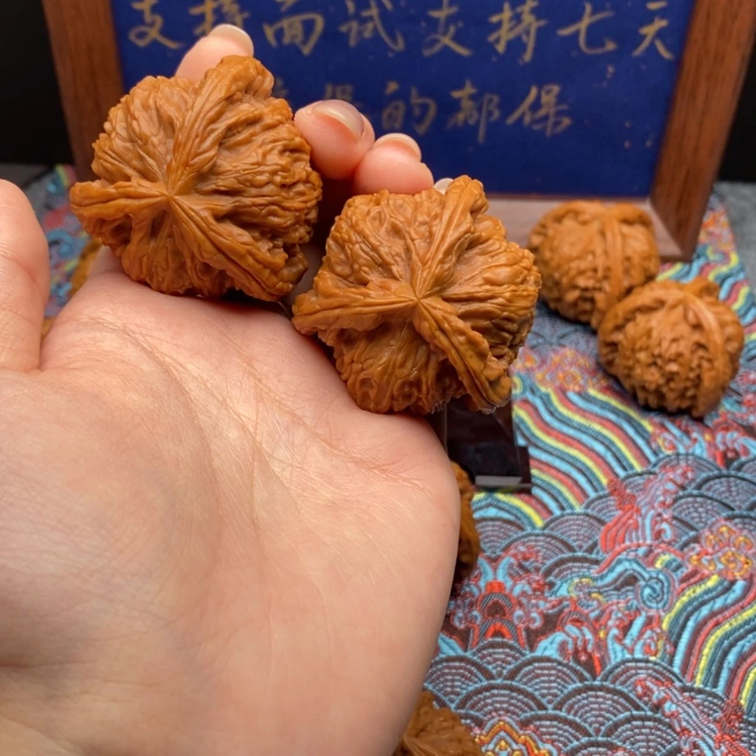 【闪购商品】K****⁶白狮