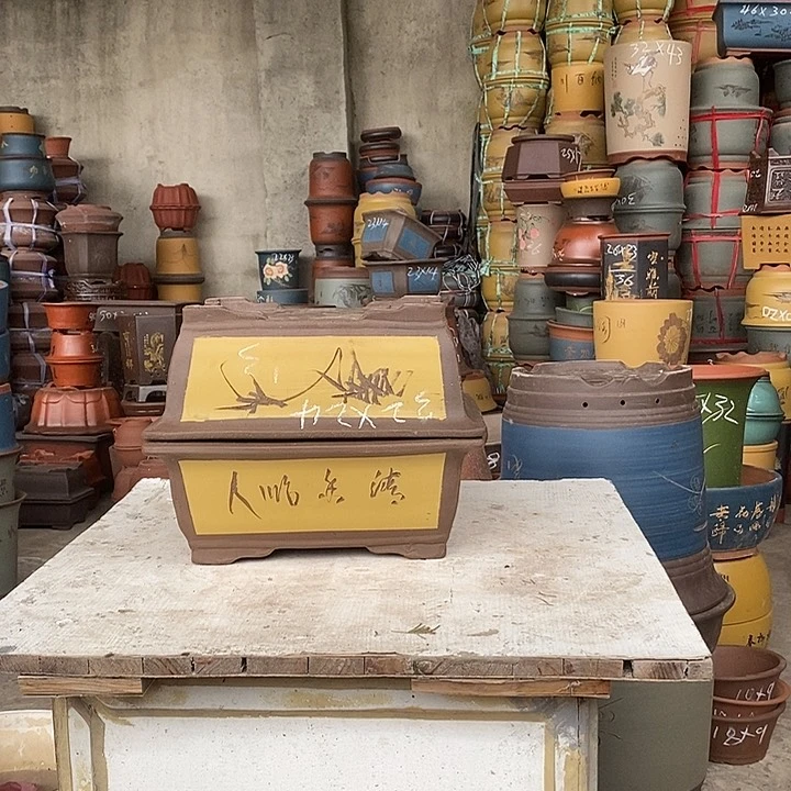 紫砂花盆盆栽花卉种植