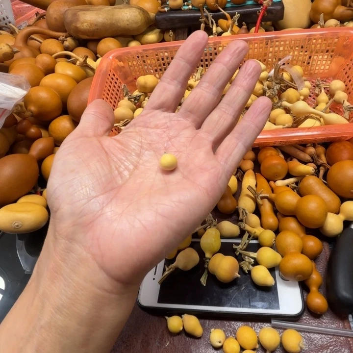 R****a英文的一个小水滴一个小水滴