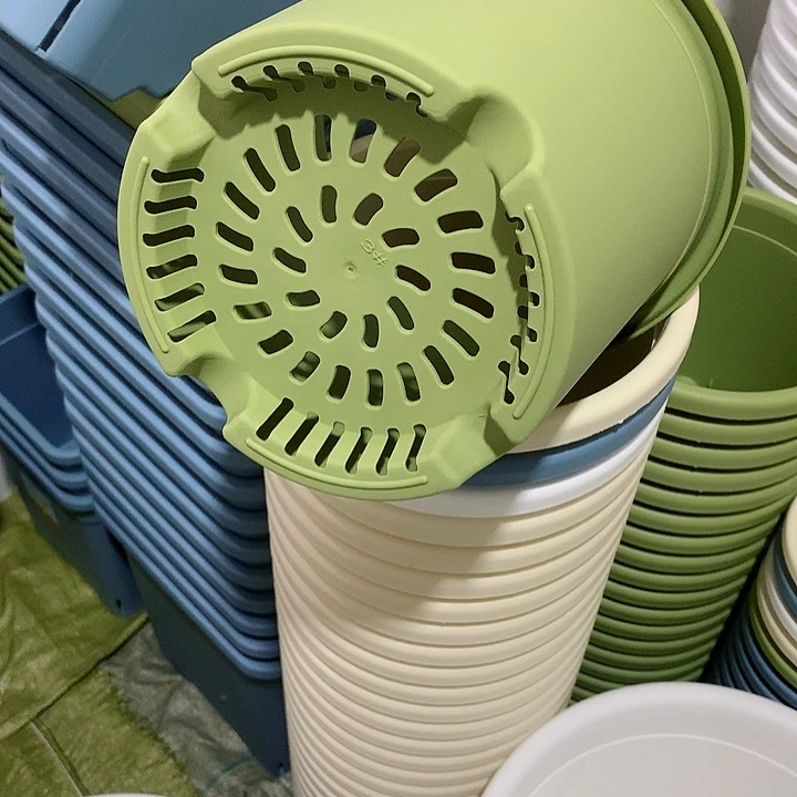 四季口22绿3个无托