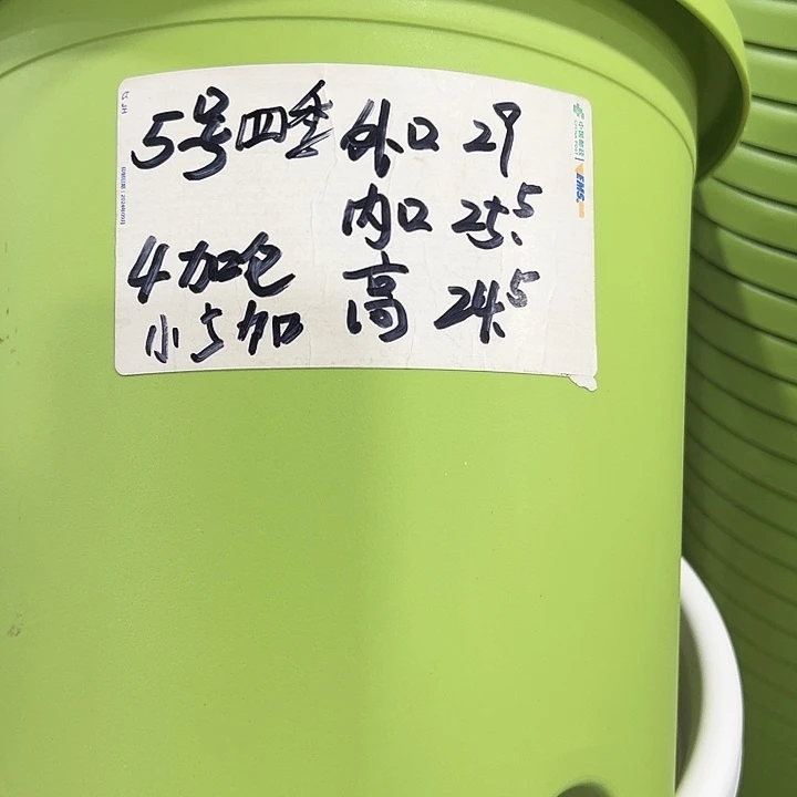 特价5号口29高24.5白色6只带托
