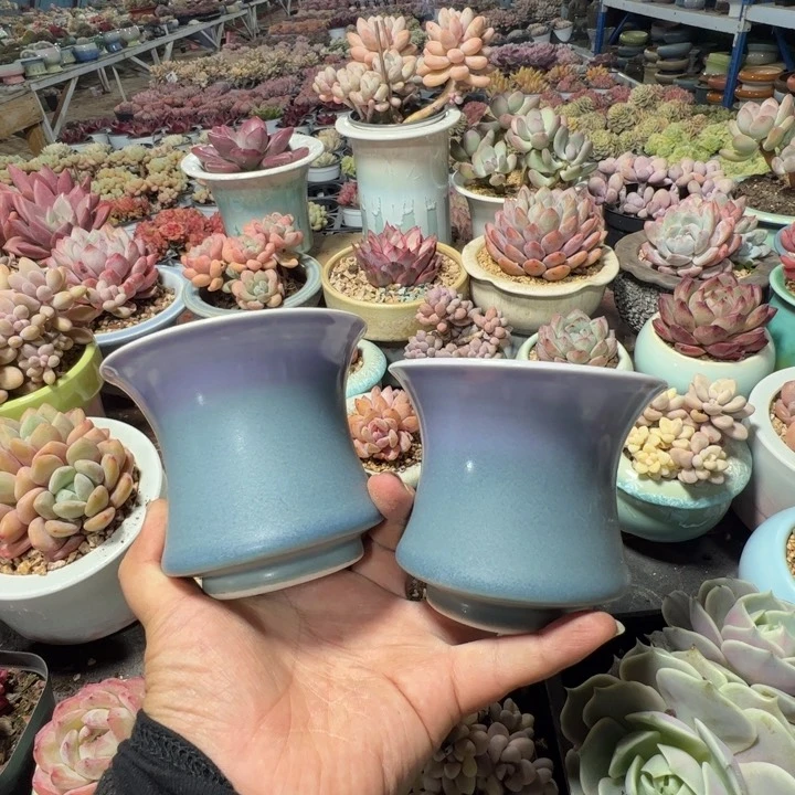 特价花盆 满50发货 内口8