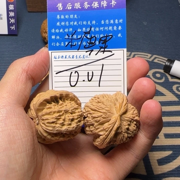 ?****?白狮子等动物的化石和