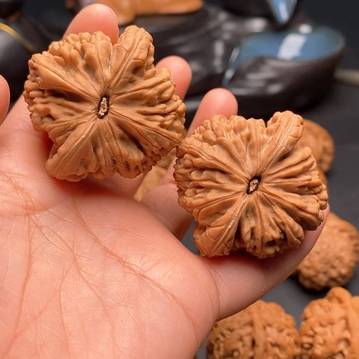 洪***涛文玩核桃把件虎头王45尺