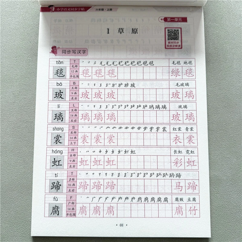 六年级上册练字帖小学生语文同步字帖人教版写字帖生字描红练字帖
