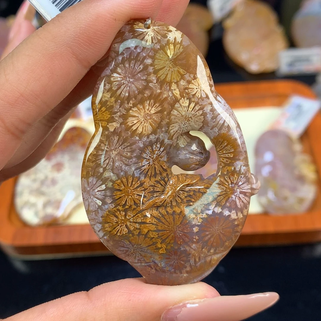 【闪购商品】颈饰未镶嵌硅化珊瑚（珊瑚玉）21号 巧雕