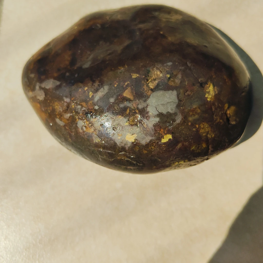 黄金橄榄陨石 带微磁性陨石 科研及收藏陨石金鲳鱼象形石