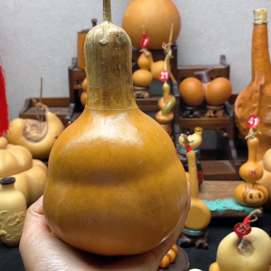 ?**?大自然的秘密第十一节的