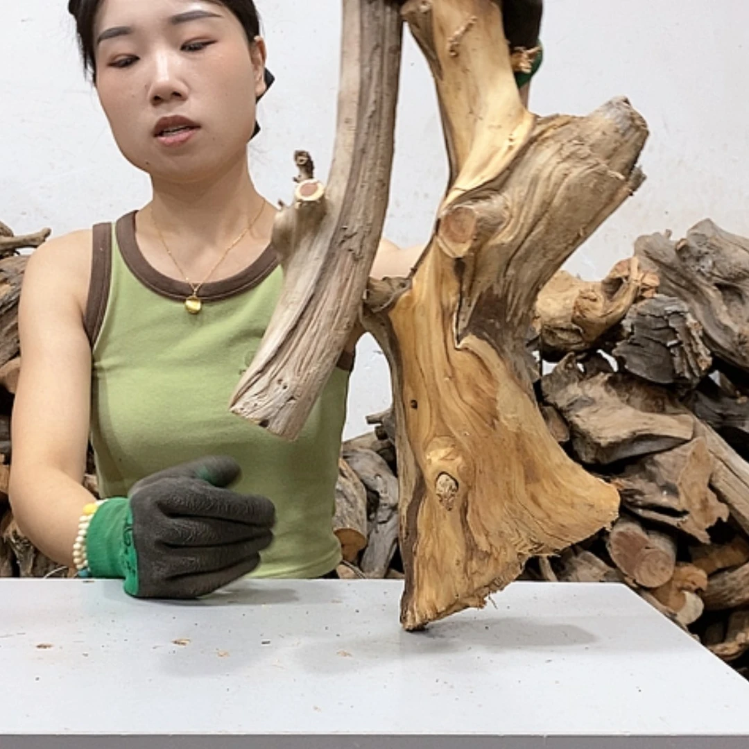【闪购商品】柏木哆**梦我们都是好孩子