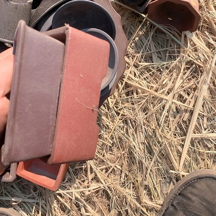 紫砂淘宝上所有产品全部