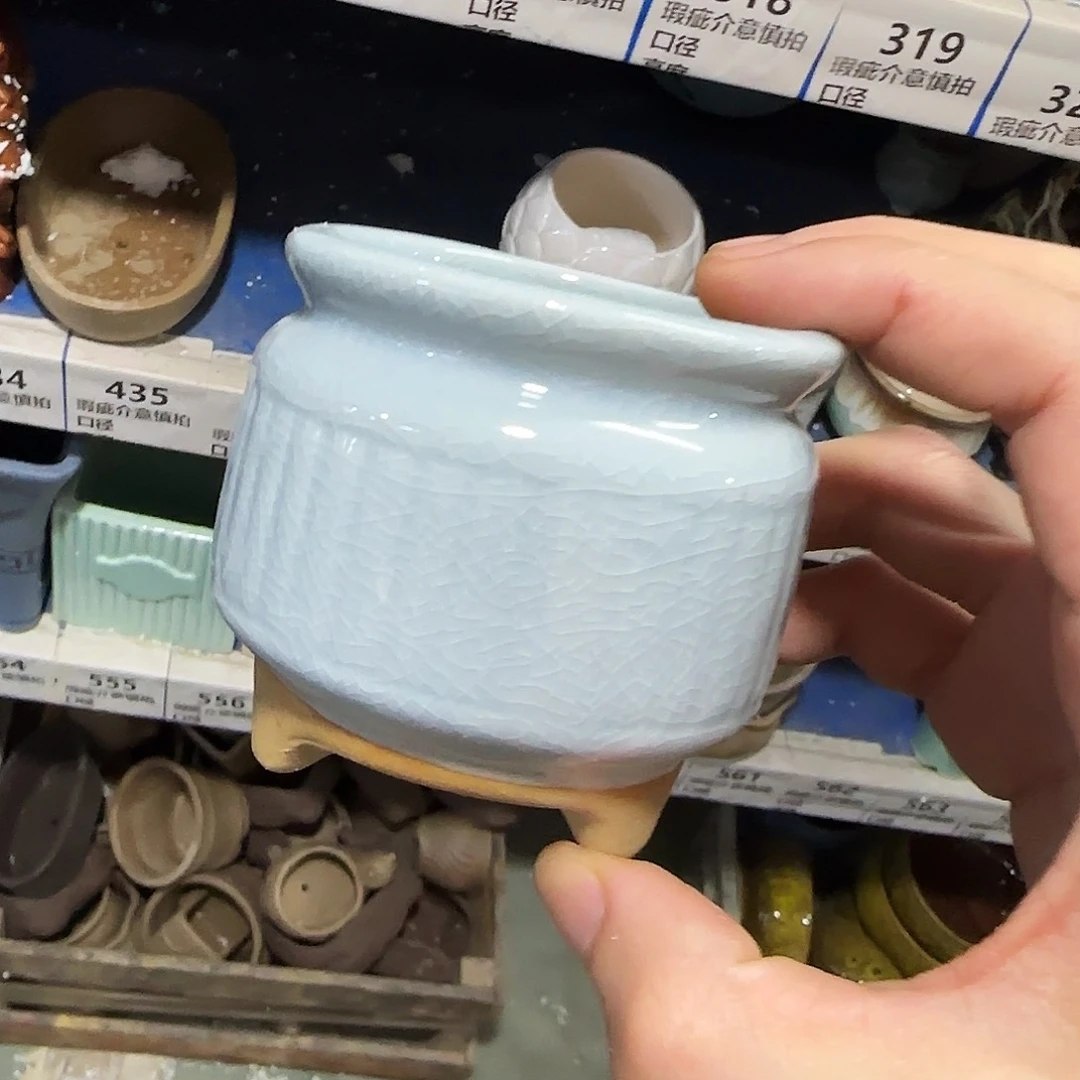 福利局绿植多肉盆［凑9元包邮24小时发］437