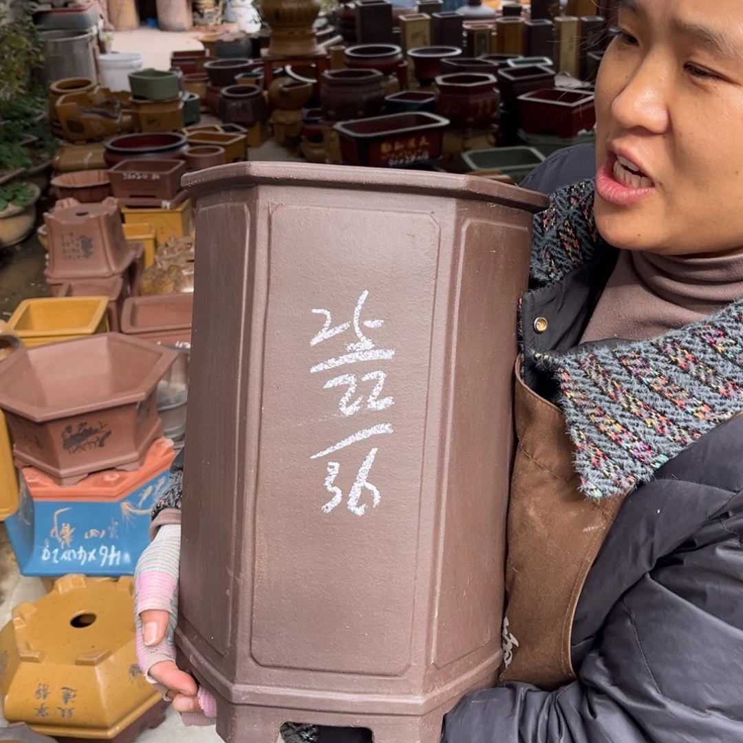 紫砂花盆盆景艺术