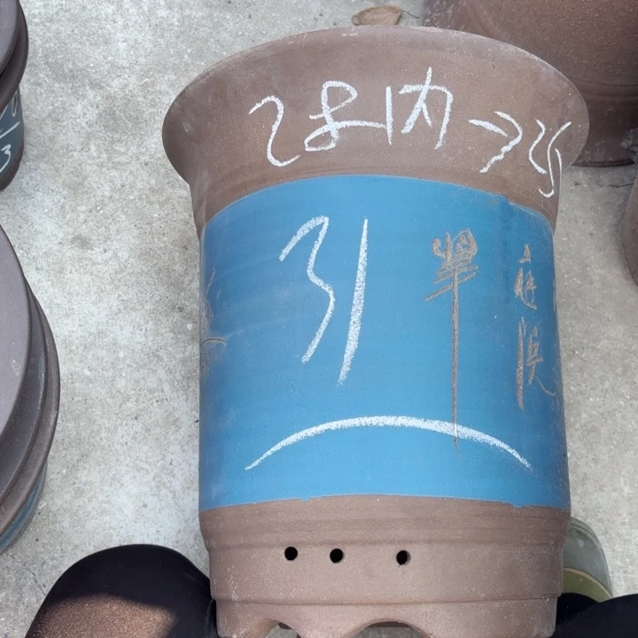 紫砂花盆紫砂的花