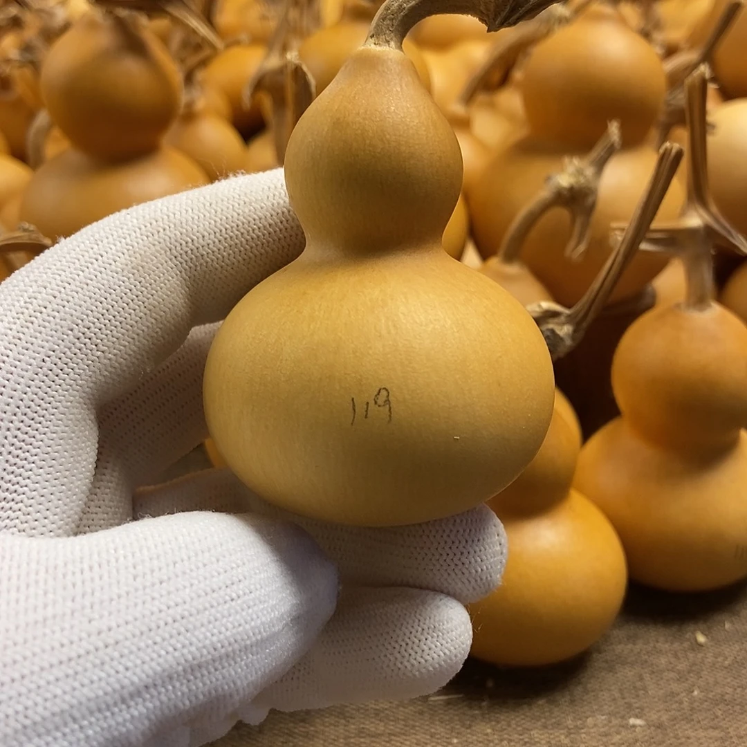 文玩葫芦 完美主义者 慎拍119