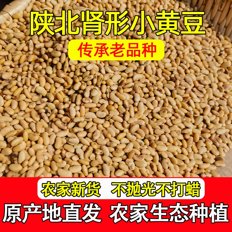 精品肾形黄豆5斤精选新货陕北打豆浆专用农家自种山地五谷杂粮