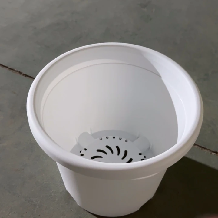 四季4号纯白无托10个特价微瑕