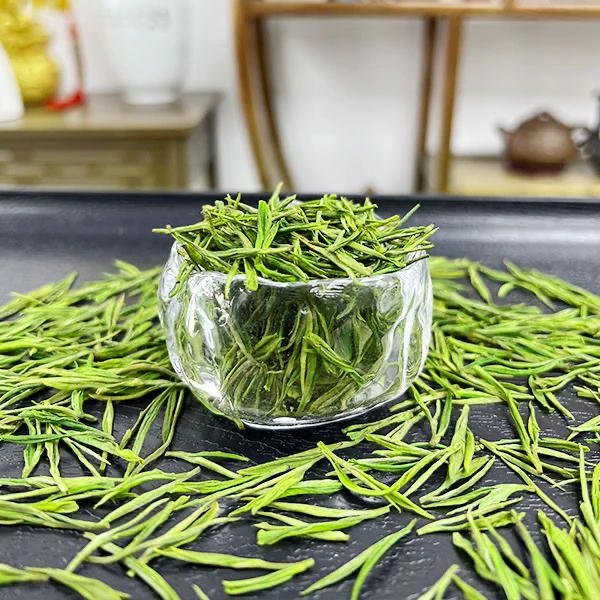 明前白茶新茶春茶高山绿茶叶豆香兰花香鲜爽回甘