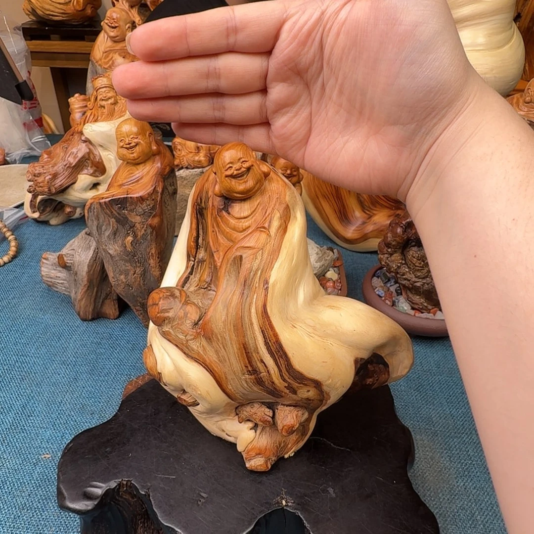 柏木（崖柏）关注一下