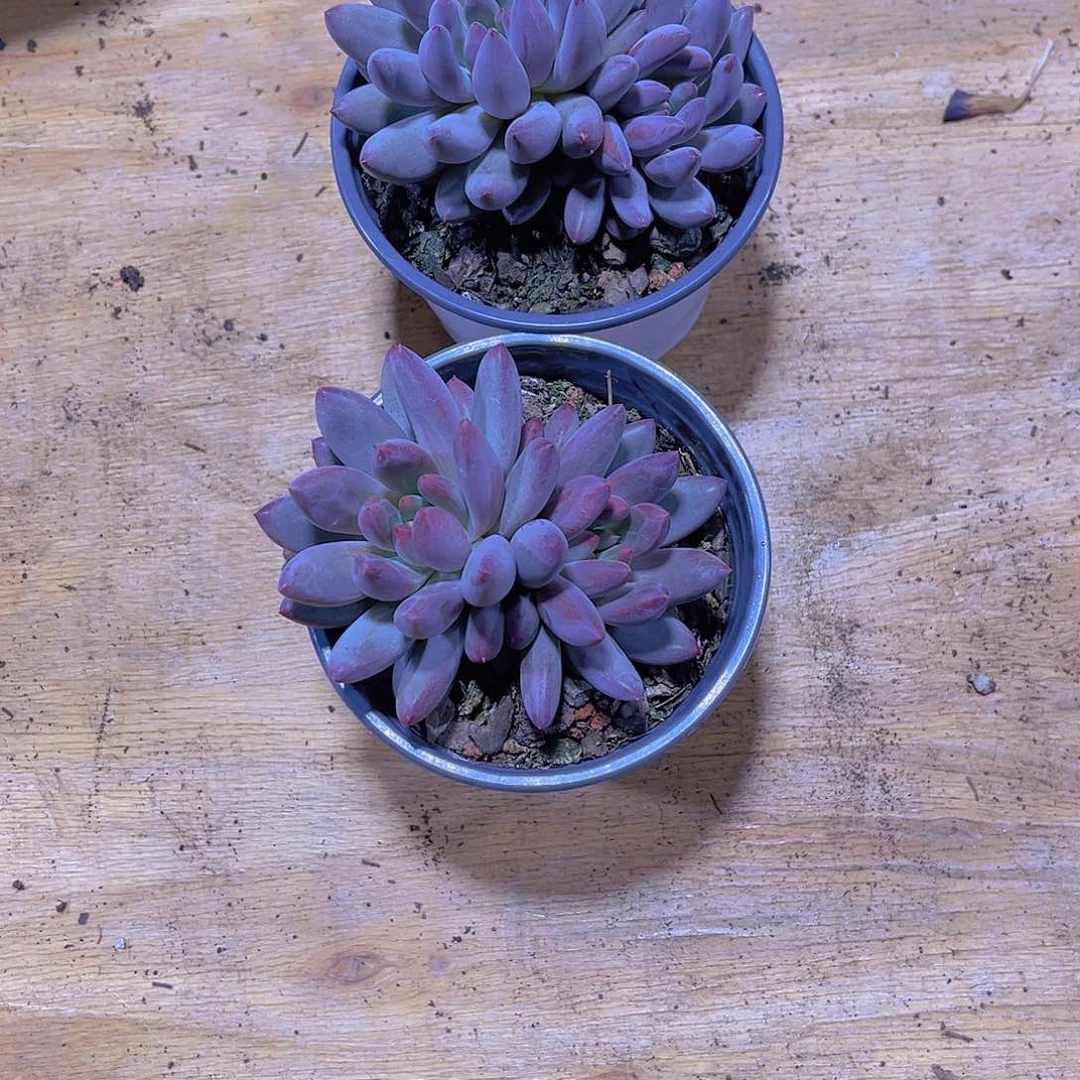 墨*岩00000000000000300