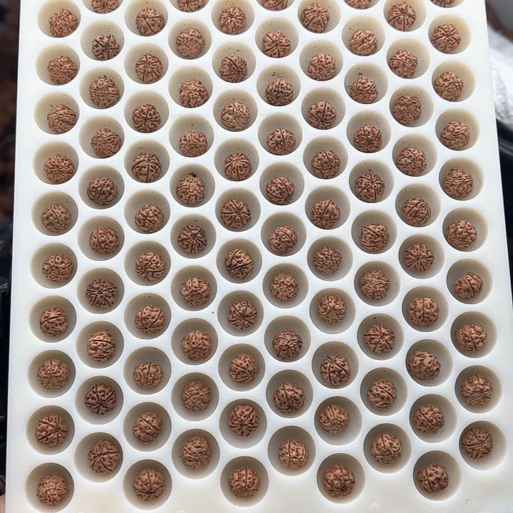 金刚菩提手串没打孔5星双龙凹底梅花9.5+200颗