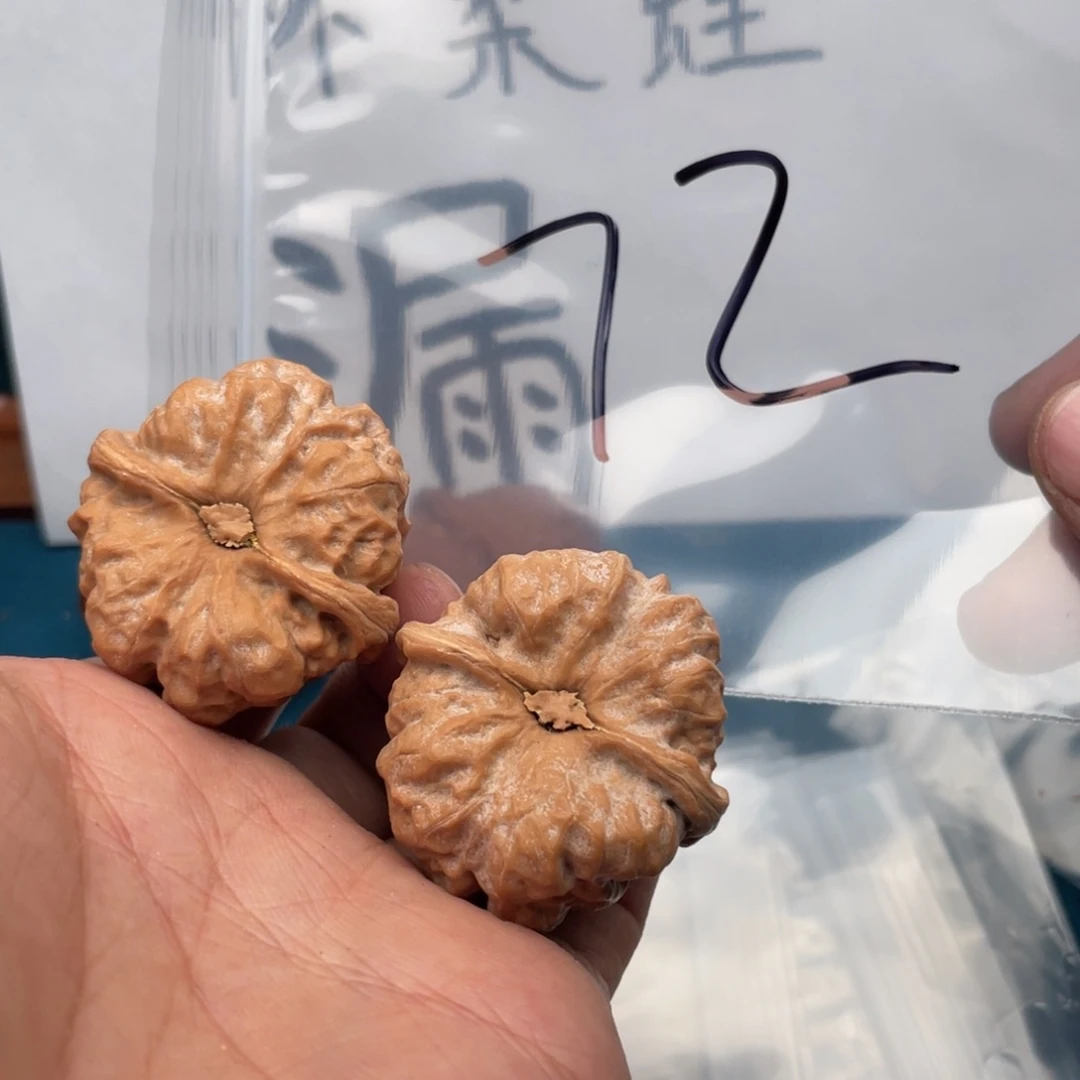 核桃手串/手链W794694749496649