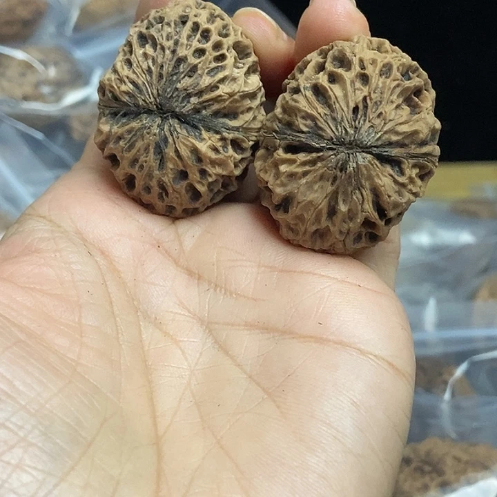 把件文玩核桃云南铁核桃基地74