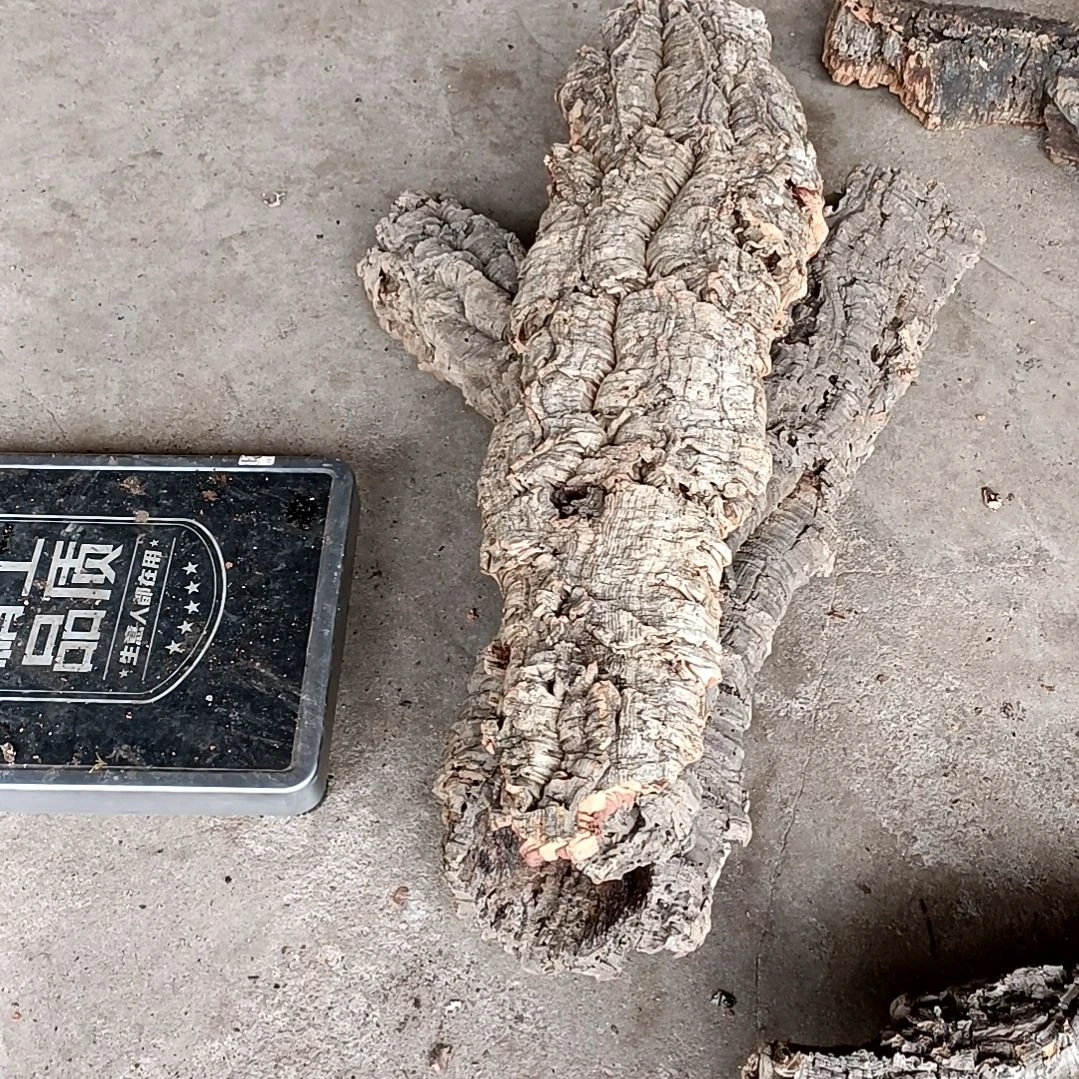木一物一拍一物一发