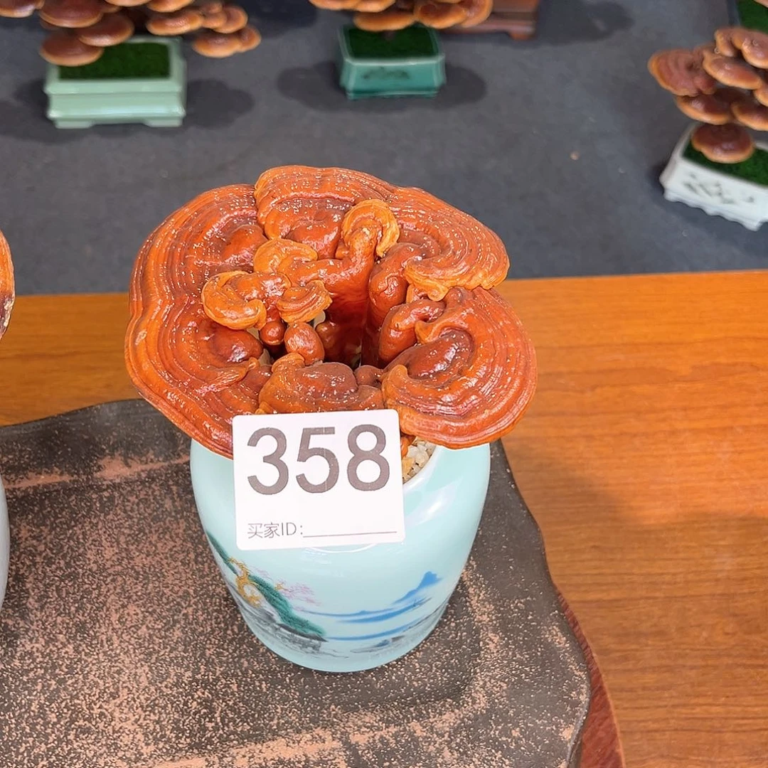 无花朵万事如意88888888888888
