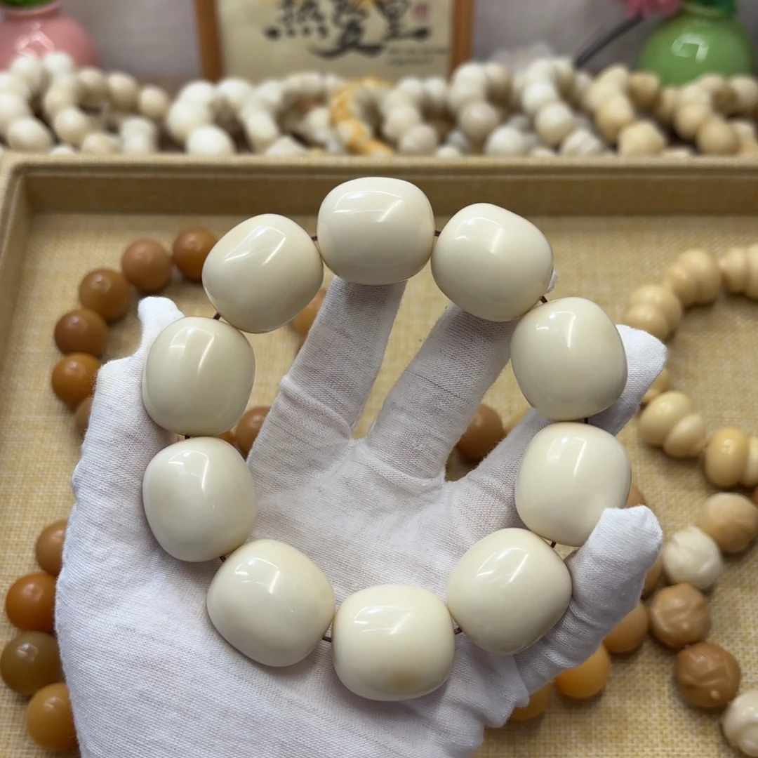 吊坠菩提根/象牙果26干磨瑕疵牙果枣738