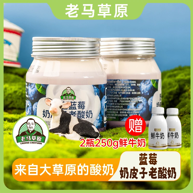 老马草原野生蓝莓奶皮子老酸奶400g*4桶 送两瓶250g鲜奶顺丰包邮