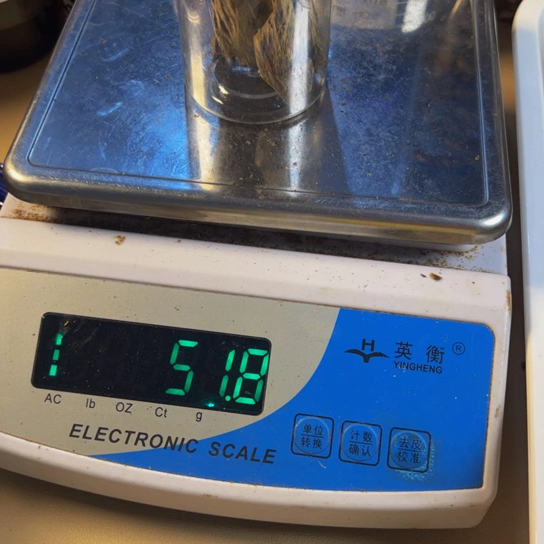 沉香沉香碎屑星****咪绿棋楠透顶绿棍料