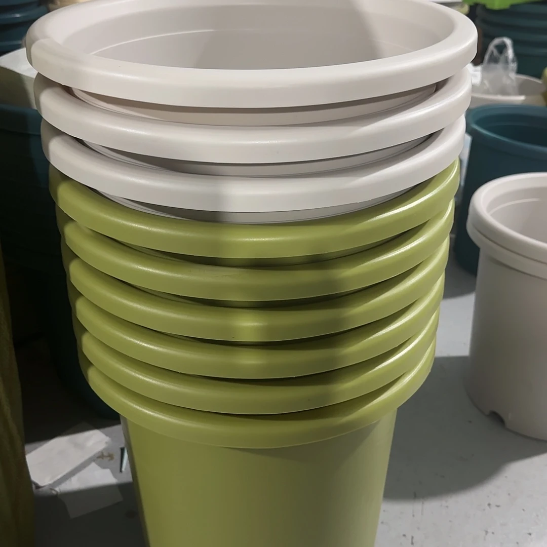 微瑕2号10个无托，混色