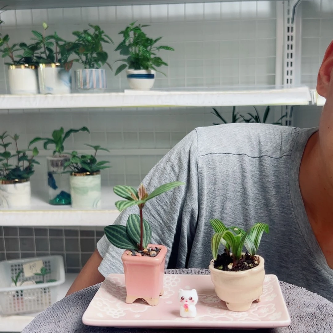 三***金无花朵54